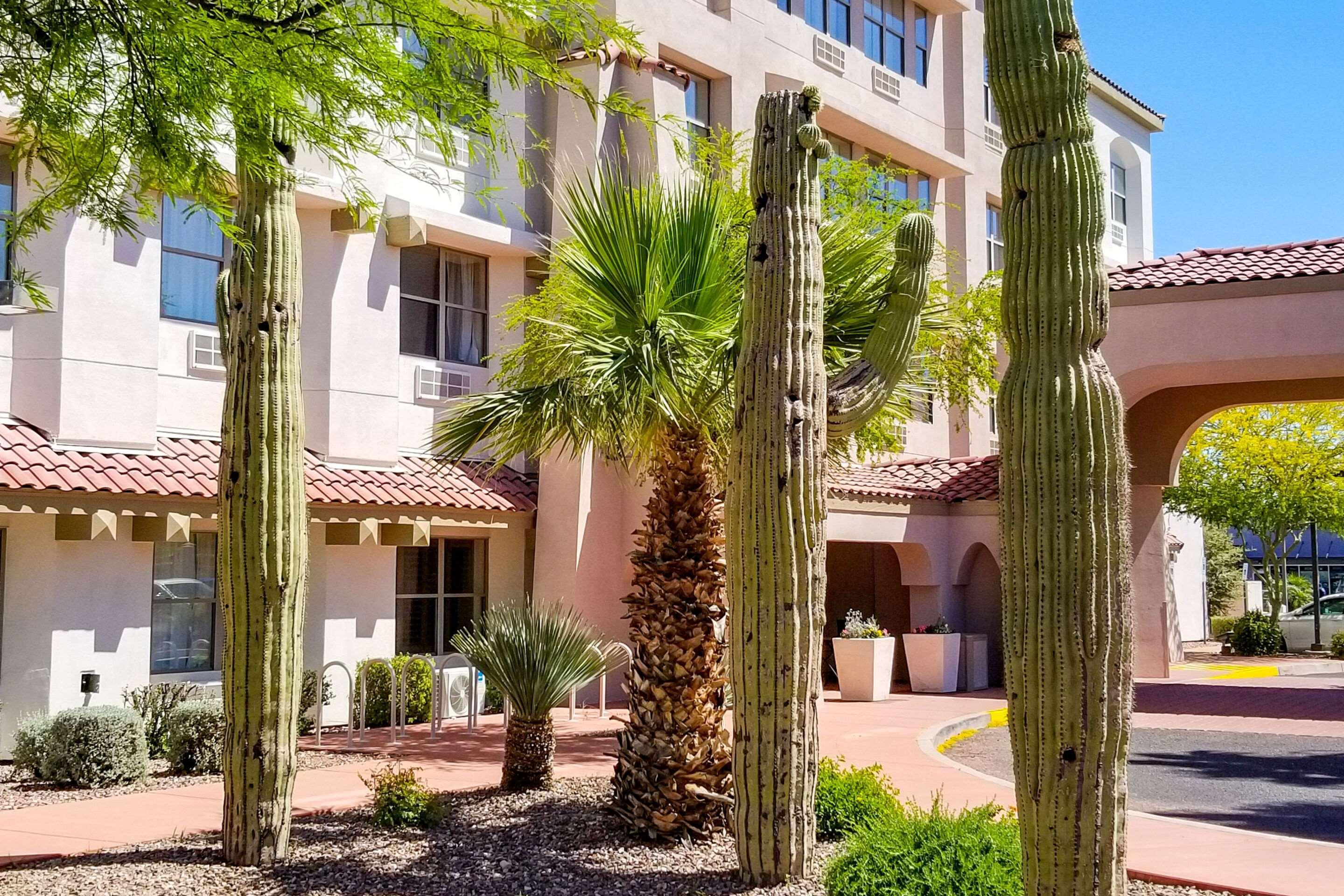 Comfort Inn & Suites Tempe Phoenix Sky Harbor Airport Ngoại thất bức ảnh